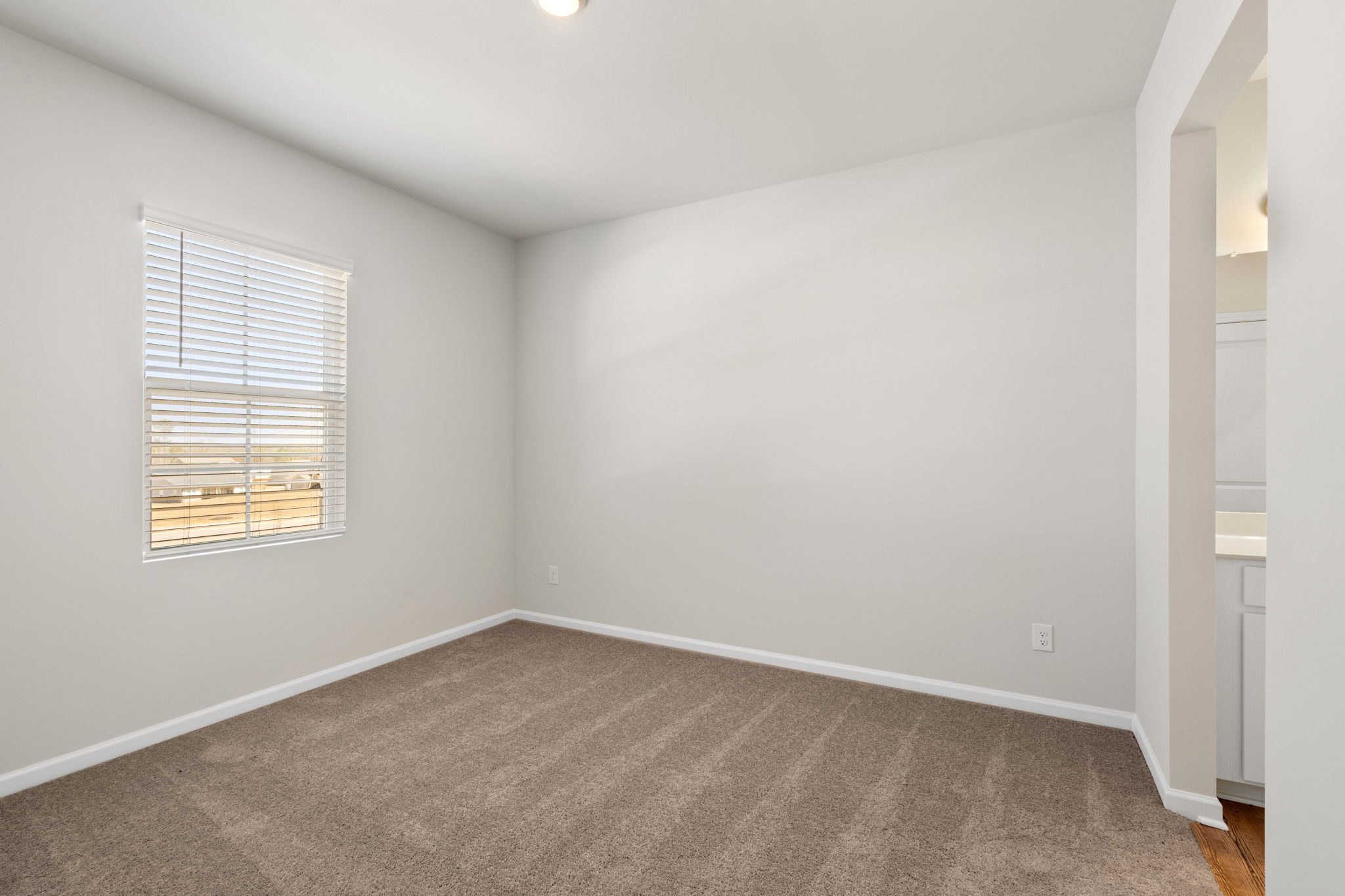 A room with a carpet and a window.