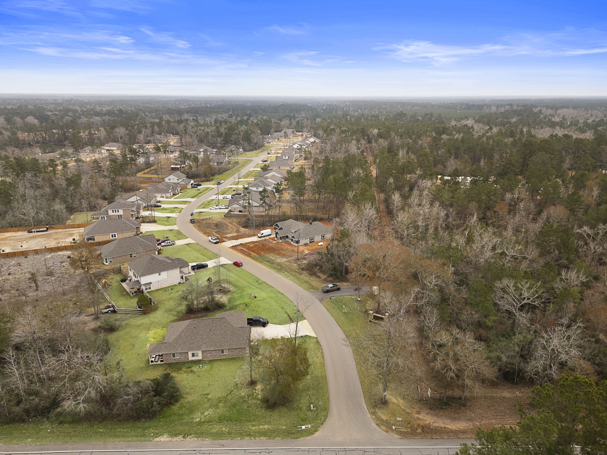A road with trees and houses.