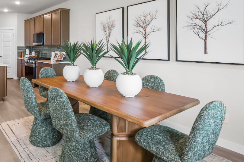 A dining room table with chairs and a plant on it.